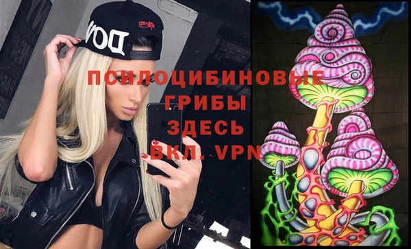 сатива Аркадак