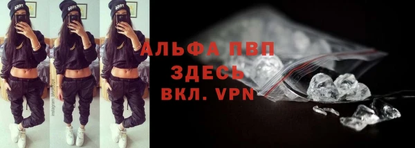 сатива Аркадак