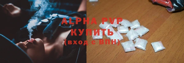 сатива Аркадак
