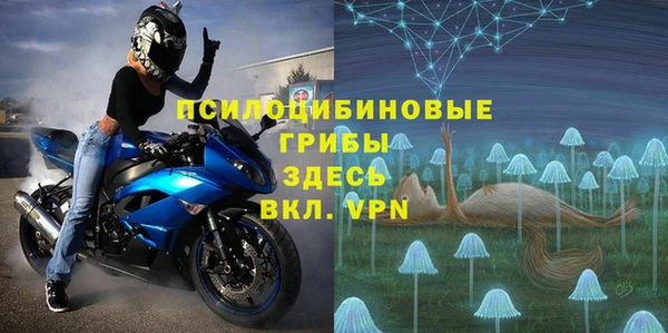 СК Арсеньев
