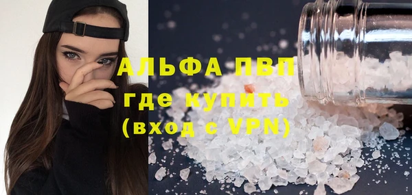 сатива Аркадак