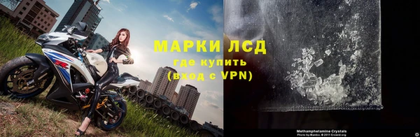 сатива Аркадак