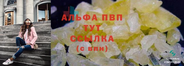 СК Арсеньев