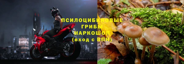 СК Армянск