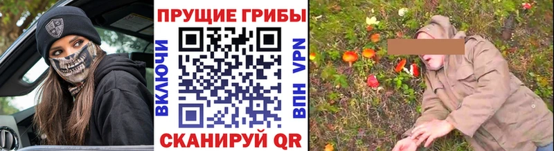 Галлюциногенные грибы Cubensis  Усть-Лабинск 